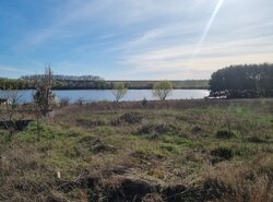 ������ �������� ������ �� ������� ��������, ����� 30 ����� ���� 1