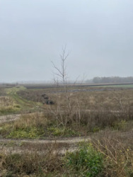 Продаж земельної ділянки, Вінницькі Хутори фото 2 Продаж земельної ділянки, Вінницькі Хутори фото 2