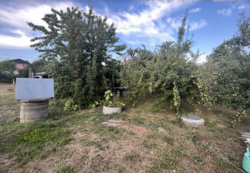 ������ �������� ������ �� ������� �������� �� 1-� ����� ��������, ����� 7 ����� ���� 2