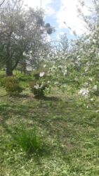 ������ �������� ������ � �������� ³�����, �. �������� ���� 6