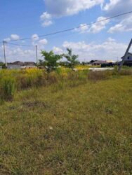 Продаж земельної ділянки, с. Бохоники фото 7 Продаж земельної ділянки, с. Бохоники фото 7