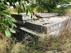 �������� ������ 10 ���. � ����������� � �. �������. ���� 7