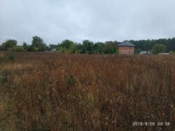 ��������� ������ ³�����, ³�������, ���������, ��������� ���� 4