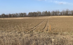 ������ �������� ������, ��������� ���� 3