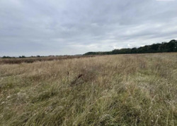 Продаж земельної ділянки під садівництво 8 соток, с. Бохоники фото 9 Продаж земельної ділянки під садівництво 8 соток, с. Бохоники фото 9