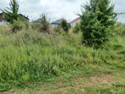 Продаж земельної ділянки, Вінницькі хутори фото 2 Продаж земельної ділянки, Вінницькі хутори фото 2