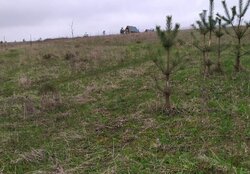 Продаж земельної ділянки сільськогосподарського призначення, площа 9 соток фото 3 Продаж земельної ділянки сільськогосподарського призначення, площа 9 соток фото 3