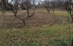 ������ �������� ������ �� ������� �������� � ��� ����-�����������, ³������� ������, ������������ ����������, ����� 16 ����� ���� 2