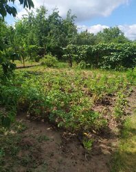     ,   '', ,  0.0501   1