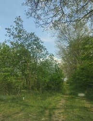 Продаж земельної ділянки під житлову забудову, площа 5.5 сотки фото 2 Продаж земельної ділянки під житлову забудову, площа 5.5 сотки фото 2