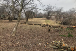 ������ �������� ������ �� ������� �������� �� ���. ����� ������� 92, ����� 20 ����� ���� 1