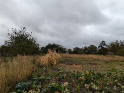 Продаж земельної ділянки на вул. Гоголя, Лука-Мелешківська, 24 сотки фото 1 Продаж земельної ділянки на вул. Гоголя, Лука-Мелешківська, 24 сотки фото 1