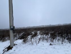 ��������� ������ ³�������, ³�����, �������������, ������, ������, 5 ����� ���� 11