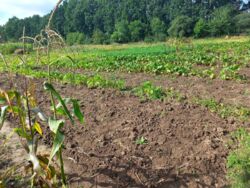 ��������� ������ ³�����, ³�������, ���������, �������� ���� 2