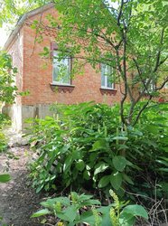 ������ �������� ������ �� ������� �������� �� ����. ������ , ����� 7.2 ����� ���� 2