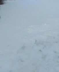 Продаж земельної ділянки під житлову забудову на вул. Покровська, площа 3 сотки фото 2 Продаж земельної ділянки під житлову забудову на вул. Покровська, площа 3 сотки фото 2