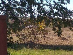 Продаж земельної ділянки під житлову забудову на Стрижавка, площа 5 соток фото 2 Продаж земельної ділянки під житлову забудову на Стрижавка, площа 5 соток фото 2