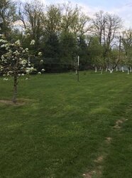 Продаж земельної ділянки під житлову забудову на вул. Деснянська, площа 30 соток фото 1 Продаж земельної ділянки під житлову забудову на вул. Деснянська, площа 30 соток фото 1