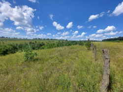 Продаж земельної ділянки, 4.3 га, с. Рівець фото 1 Продаж земельної ділянки, 4.3 га, с. Рівець фото 1