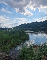 Продаж земельної ділянки під житлову забудову на вул. Крутнів Яр, площа 30 соток фото 3 Продаж земельної ділянки під житлову забудову на вул. Крутнів Яр, площа 30 соток фото 3