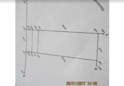 ��������� ������ ³�����, ³�������, �������������, ���������� ���� ���� 8