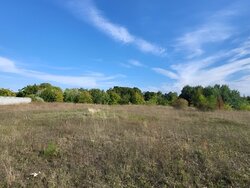 Продаж земельної ділянки під житлову забудову на вул. Цегельна, площа 30 соток фото 3 Продаж земельної ділянки під житлову забудову на вул. Цегельна, площа 30 соток фото 3