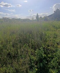 ������ �������� ������ ��������������������� ����������� �� ���. ����쳿 �������������, ����� 10 ����� ���� 3