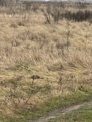 ������ �������� ������ � �. ��������, ���. ������ ����, 15 ����� ���� 2