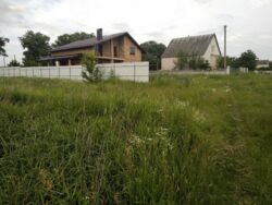 ��������� ������ �������, �����������, ³������� ���� 4