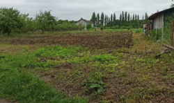 ������ �������� ������ �� ������� �������� �� ���. ����� ������, ����� 14.3 ����� ���� 1