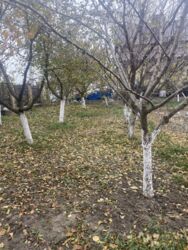 Земельна ділянка 7 соток, Тяжилів фото 2 Земельна ділянка 7 соток, Тяжилів фото 2