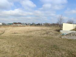 ��������� ������ �������, �����������, ³������� ���� 6