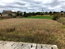 �������� ������ 10 ���. � ����������� � �. �������. ���� 2