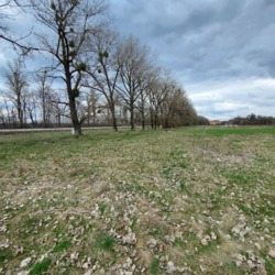 Продаж земельної ділянки під будівництво, с. Бохоники, комерція фото 4 Продаж земельної ділянки під будівництво, с. Бохоники, комерція фото 4