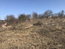 ������ �������� ������, �. ��������. ���� 5