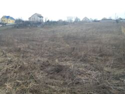 ��������� ������ ������, �����������, ³������� ���� 2