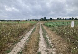 Продаж земельної ділянки сільськогосподарського призначення, площа 8 соток фото 4 Продаж земельної ділянки сільськогосподарського призначення, площа 8 соток фото 4