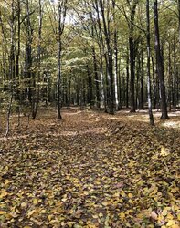 ������ �������� ������ �� ������� ��������, ����� 10 ����� ���� 3