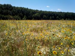 ������ ������, 126 ���., ��������������������� ����������� ���� 2