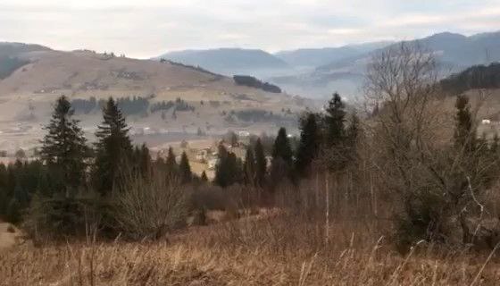 ��������� ������ �����-����������, �������������, �������, ϳ������� ���� 1