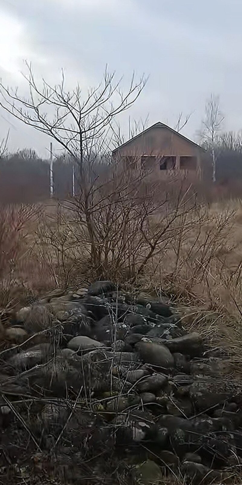 ��������� ������ �������, ������������, �����-���������� ���� 1