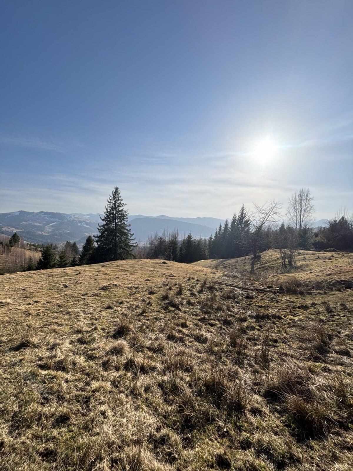 ��������� ������ ���������, �������������, �����-���������� ���� 1