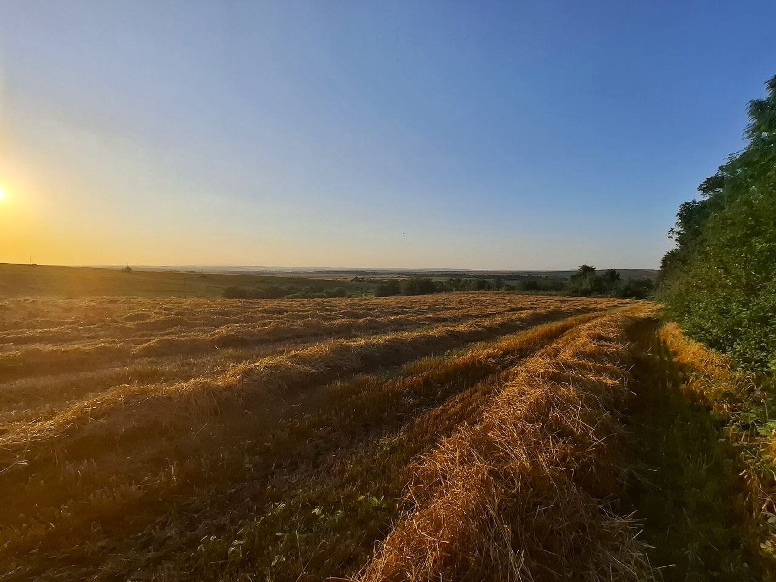 Продається ділянка Львівська, Жидачів, Садки фото 1 Продається ділянка Львівська, Жидачів, Садки фото 1