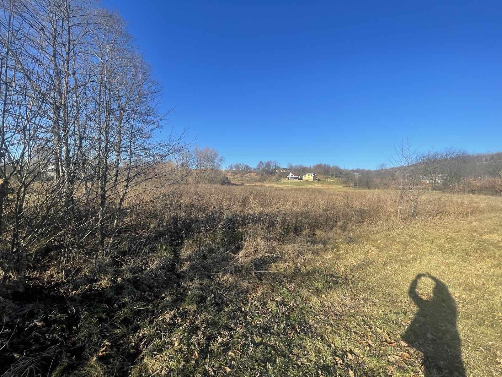 ��������� ������ �������, ���������, �����-���������� ���� 1