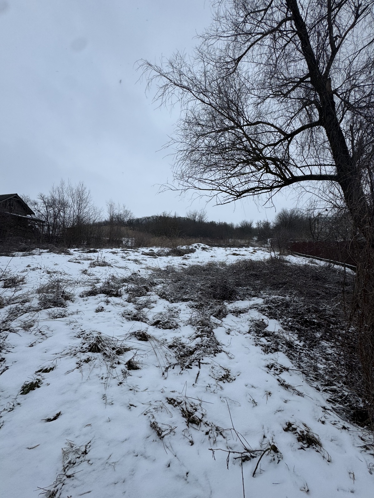 ��������� ������ �������, ���������, ������������, �����-���������� ���� 1