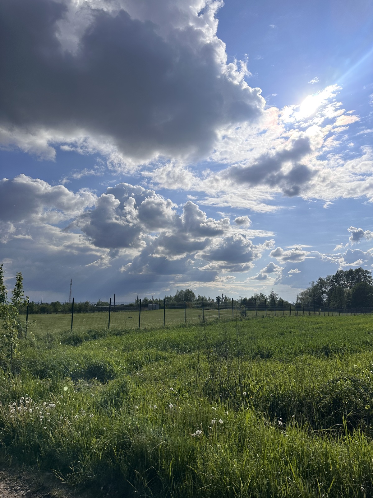 ��������� ������ �������, ������������, �����-���������� ���� 1