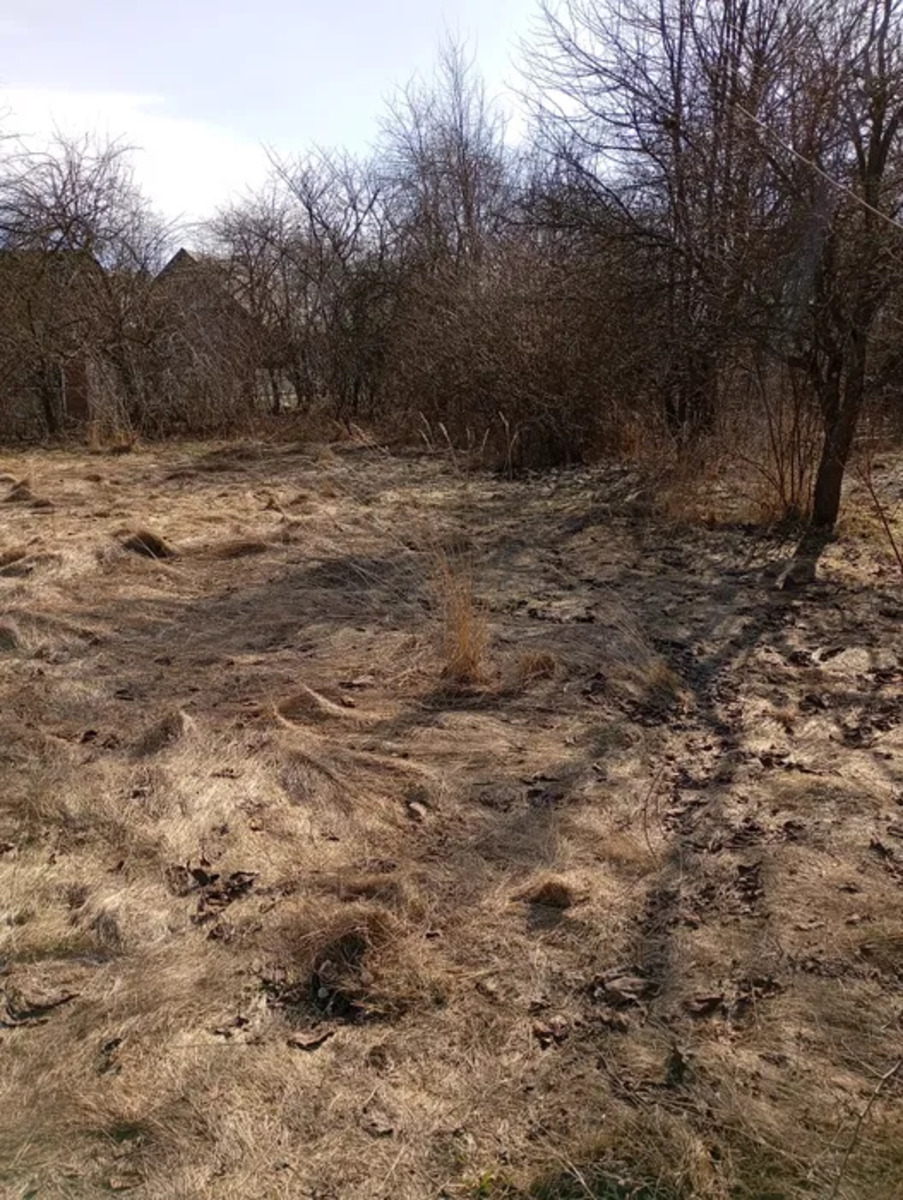 ��������� ������ ������, �����, �������������, �����-���������� ���� 1