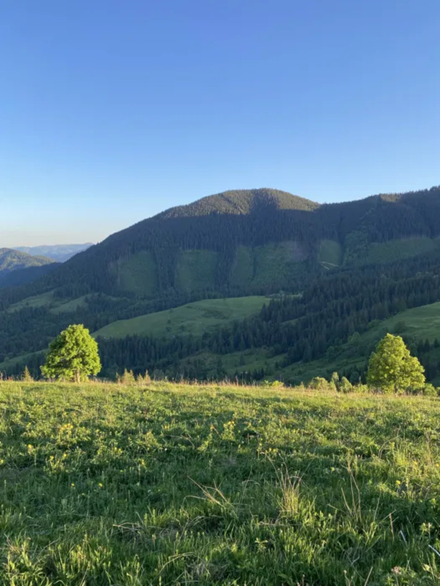 ��������� ������ �������, �������������, �����-���������� ���� 1