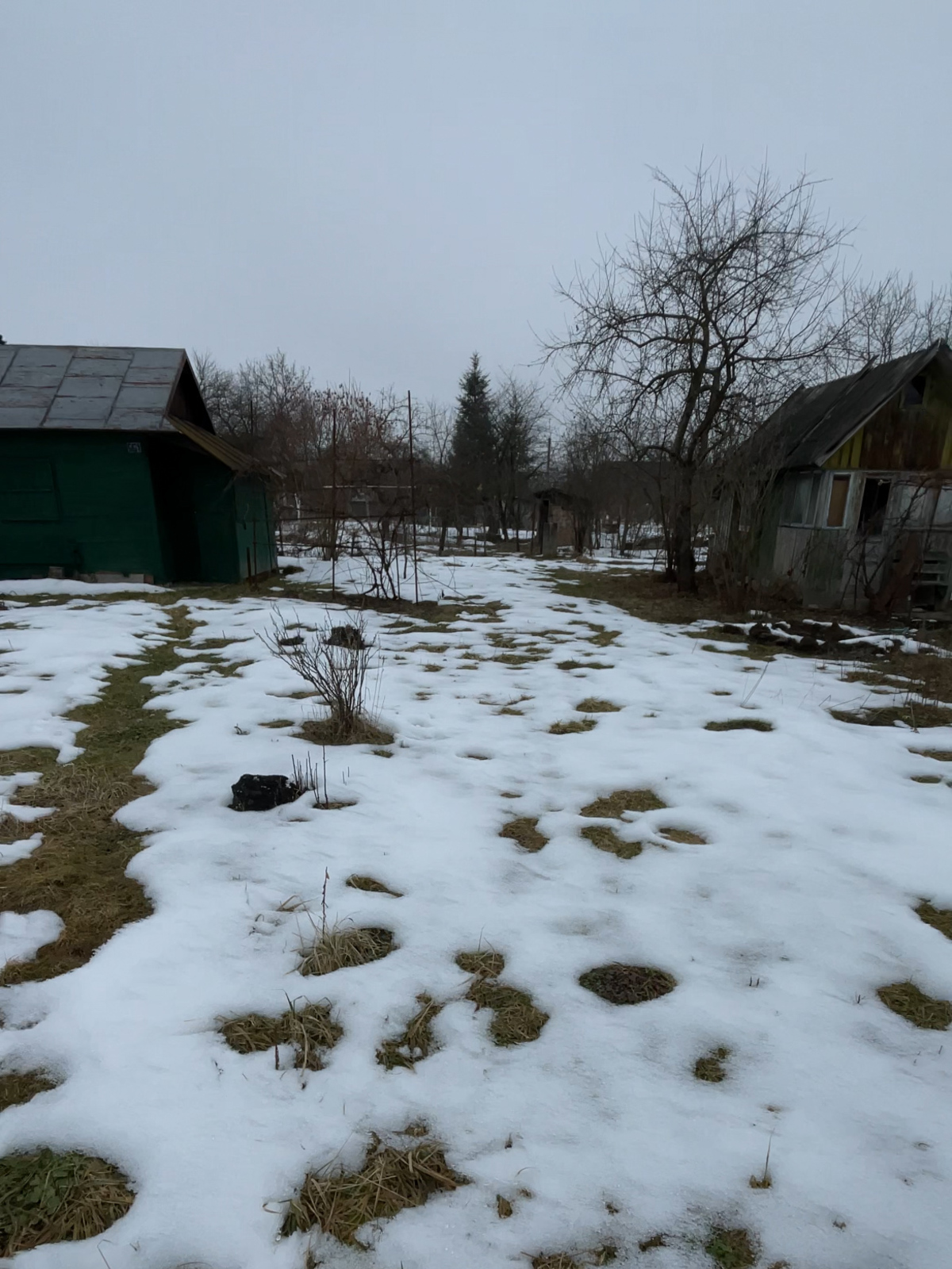 ��������� ������ �����-���������, �����-����������, ����� ���� 1