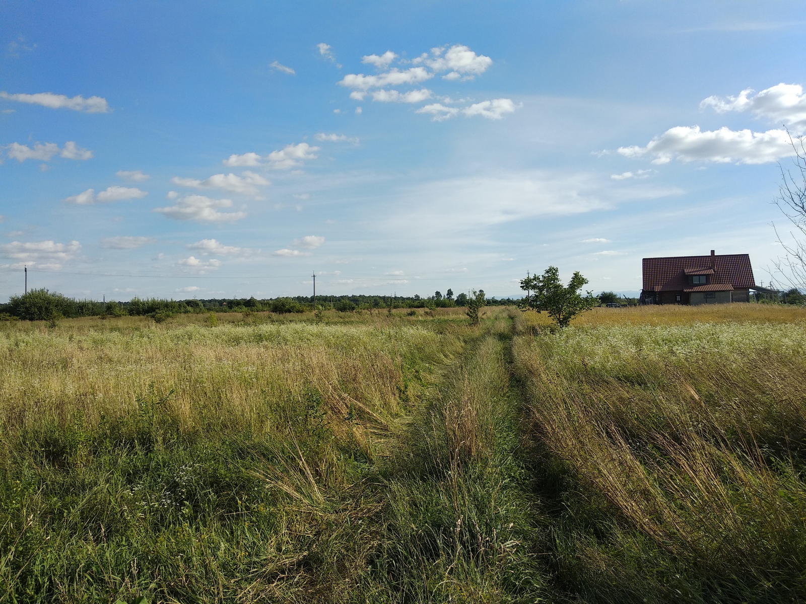 Продається земельна ділянка у с. Черніїв фото 1 Продається земельна ділянка у с. Черніїв фото 1